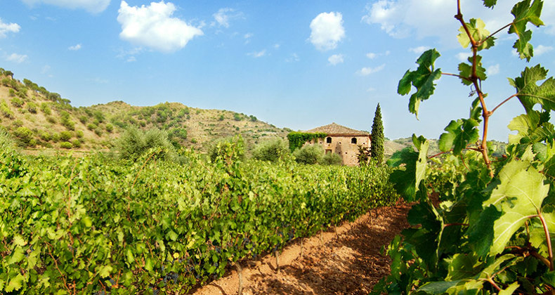 historia-siurana-peralada